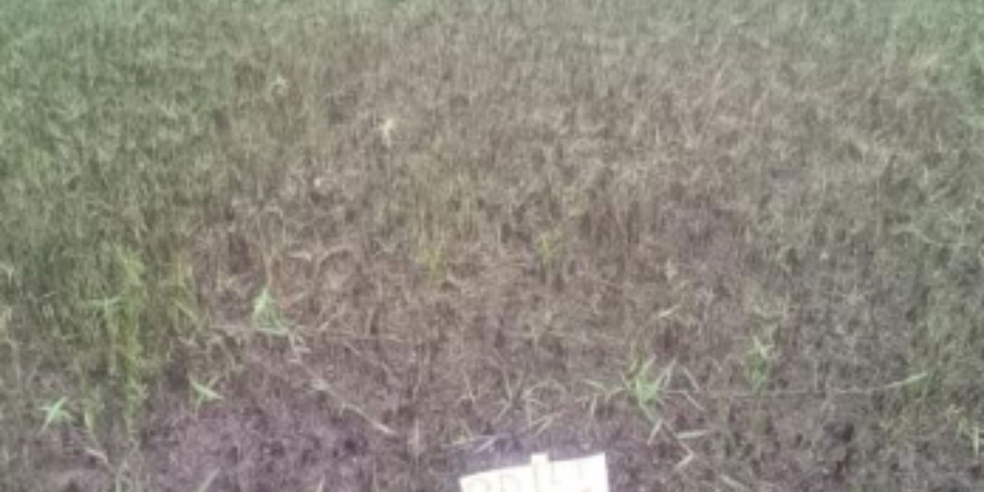 02 Terrenos na Vila Rica dos Abais - Itaporanga D'Ajuda/SE, localizado em Itaporanga D'ajuda - SE, bairro Vila Rica dos Abais