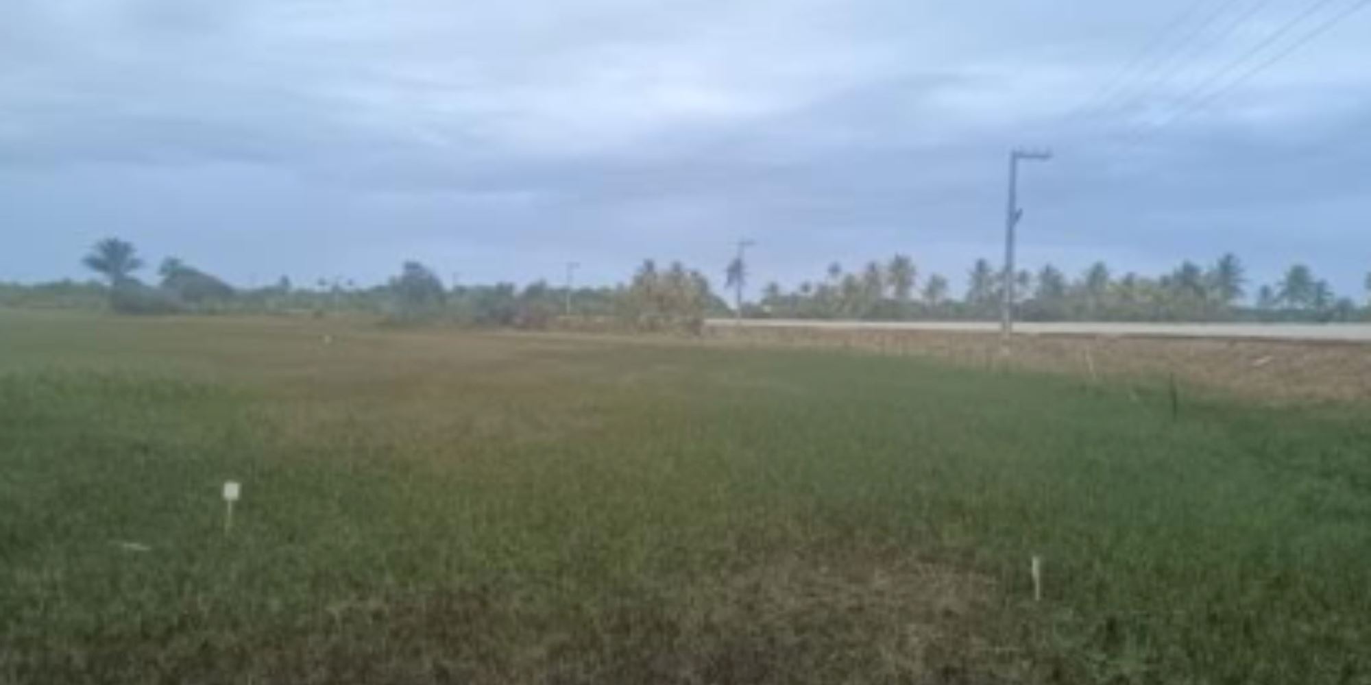 02 Terrenos na Vila Rica dos Abais - Itaporanga D'Ajuda/SE, localizado em Itaporanga D'ajuda - SE, bairro Vila Rica dos Abais