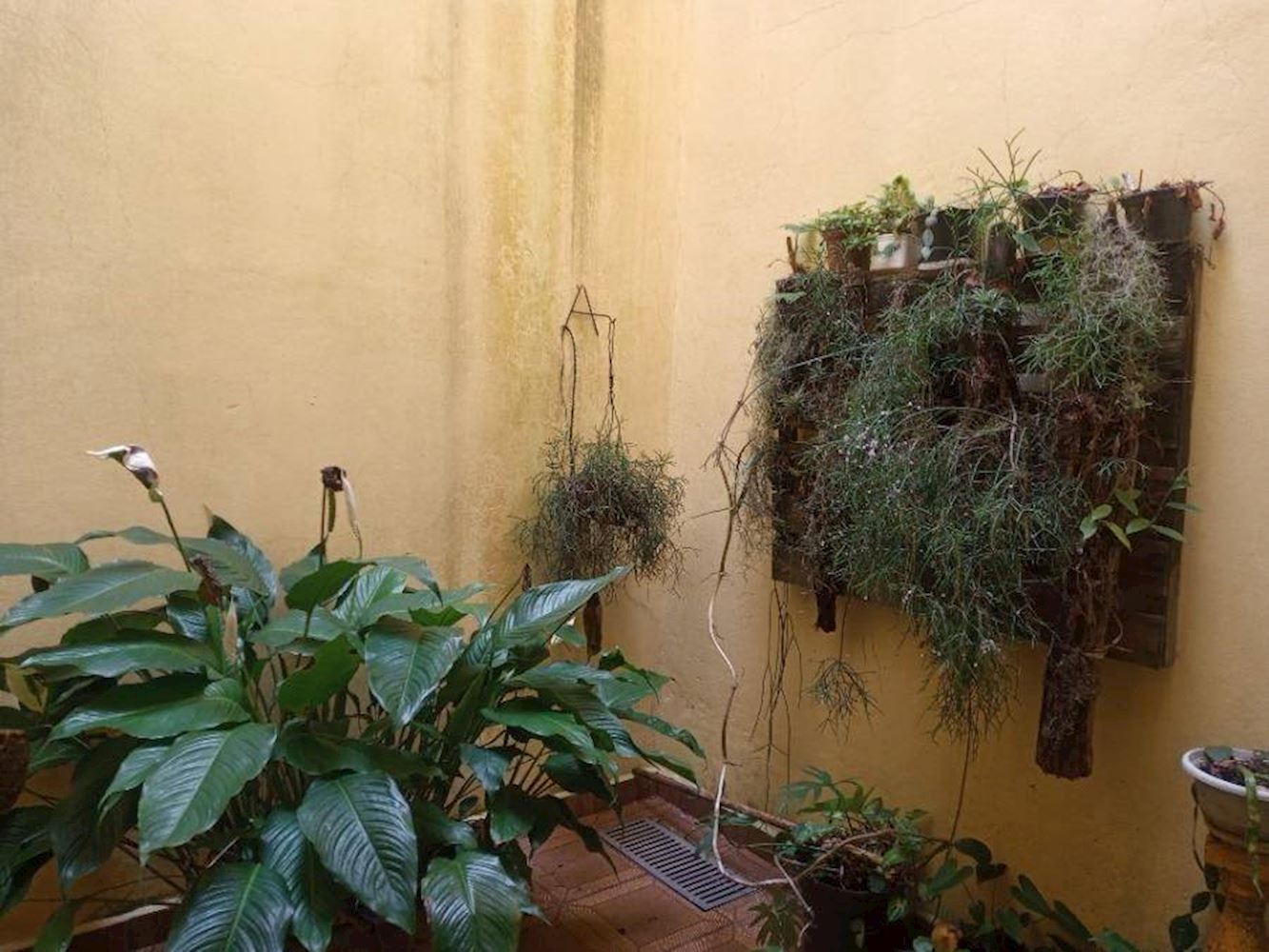 Casa no Jardim Peruibe - Peruíbe/SP, localizado em Peruíbe - SP, bairro Jardim Peruibe