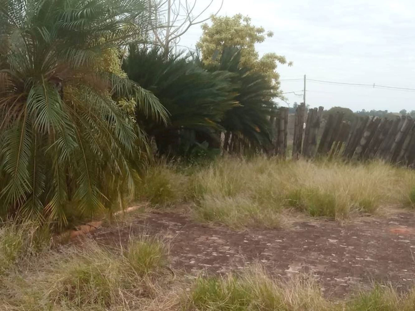 Terreno no Parque Residencial Viva em Pérola/PR, localizado em Pérola - PR
