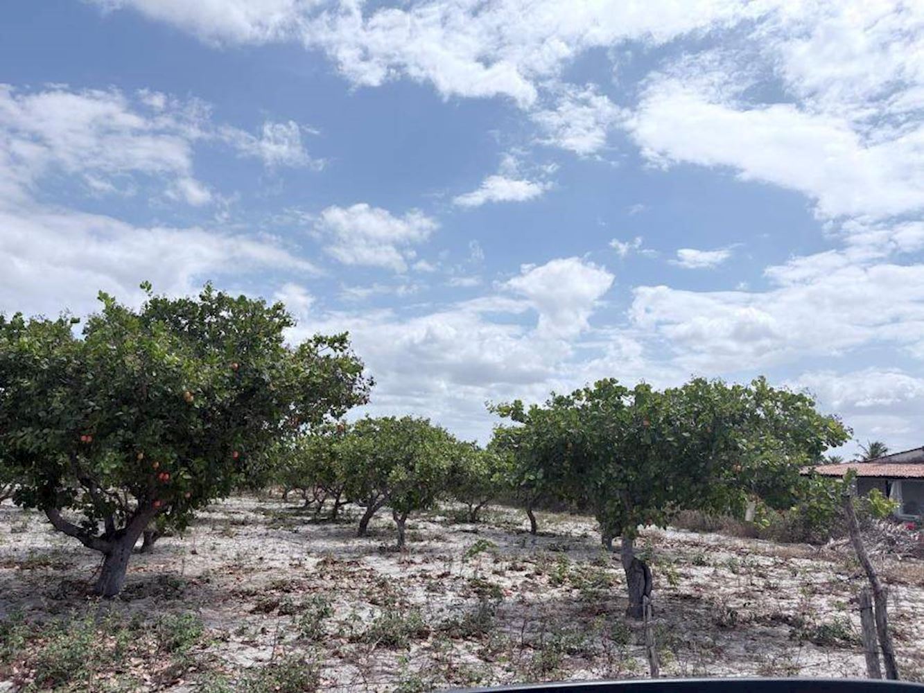 Terreno em Tiririca - Pacajus/CE, localizado em Pacajus - CE, bairro Tiririca
