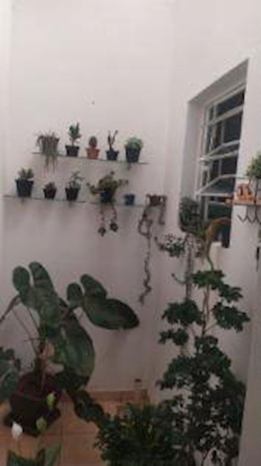 Casa em Geraldo Lara I - Passa Tempo/MG, localizado em Passa Tempo - MG, bairro Geraldo Lara I