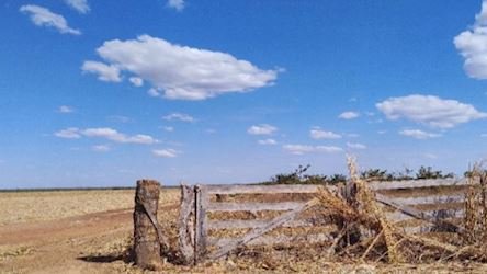 Imóvel rural em leilão em Terreno Na Fazenda Santo Antônio - Peixe