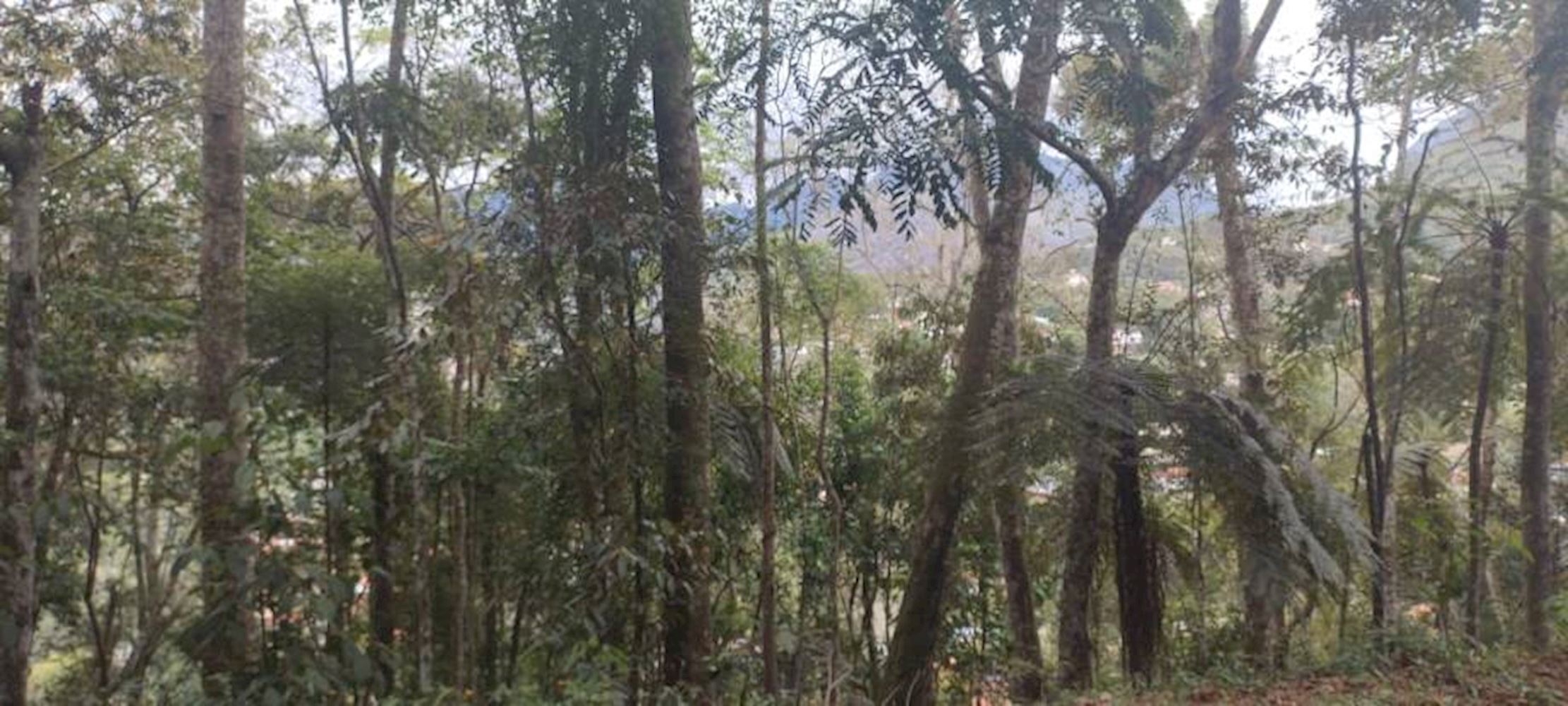Terreno no Parque Do Imbui em Teresópolis/RJ, localizado em Teresópolis - RJ, bairro Parque do Imbui