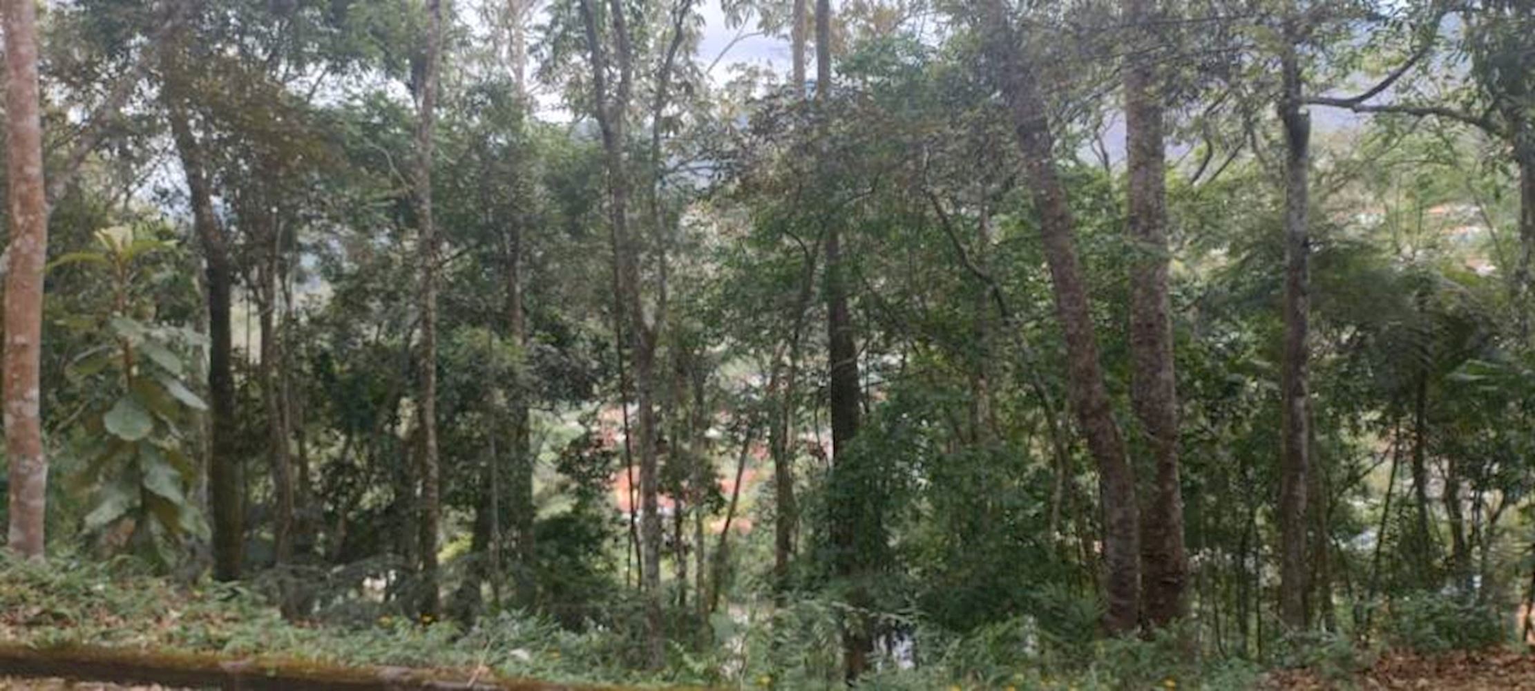 Terreno no Parque Do Imbui em Teresópolis/RJ, localizado em Teresópolis - RJ, bairro Parque do Imbui