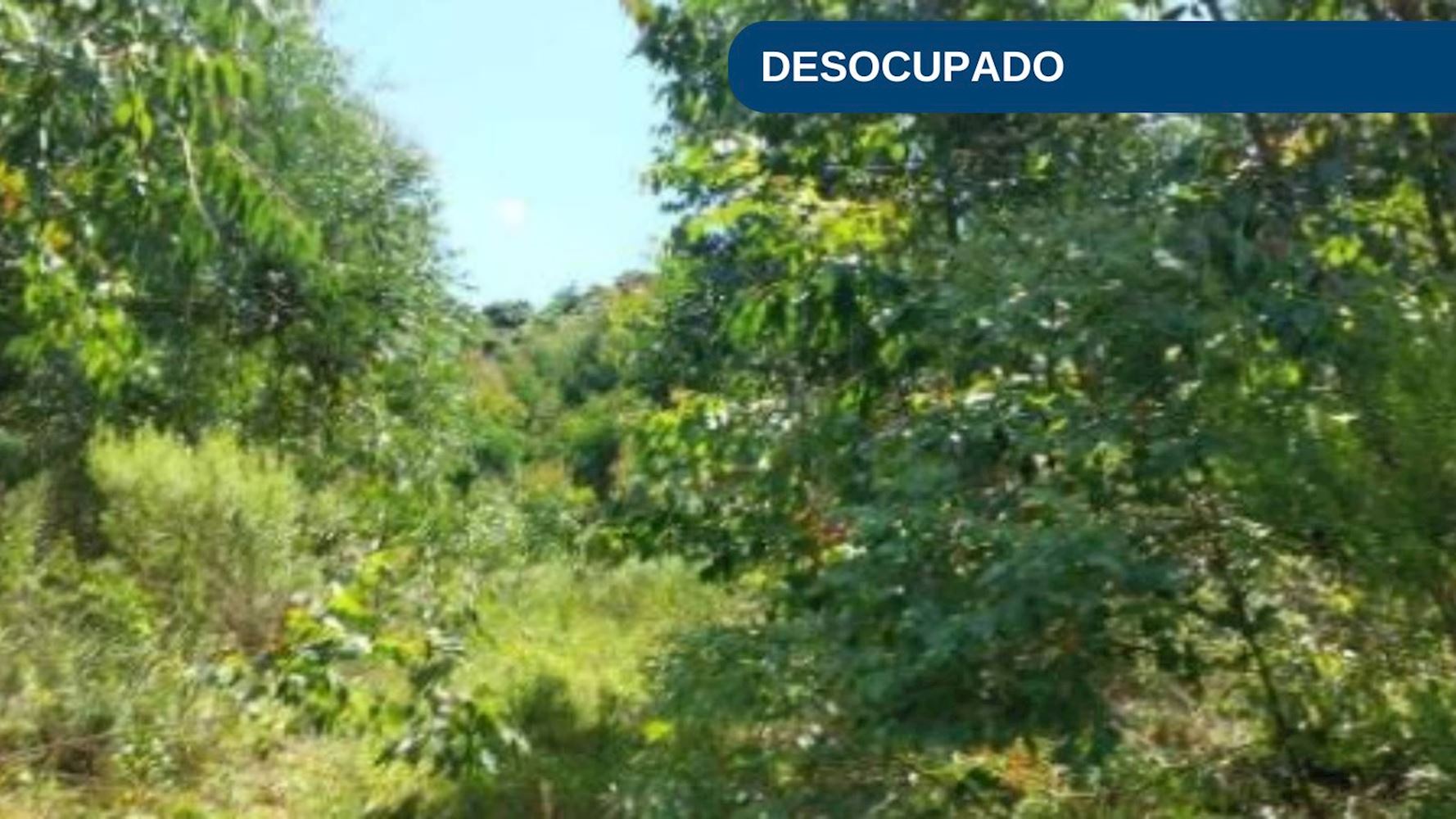 Imagem do imóvel Terreno na Zona Rural - Vila Maria/RS