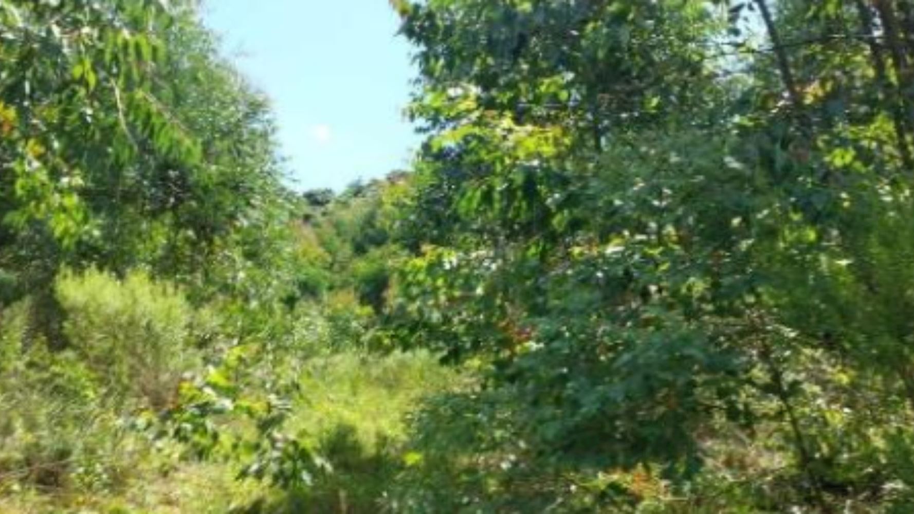 Terreno na Zona Rural - Vila Maria/RS, localizado em Vila Maria - RS