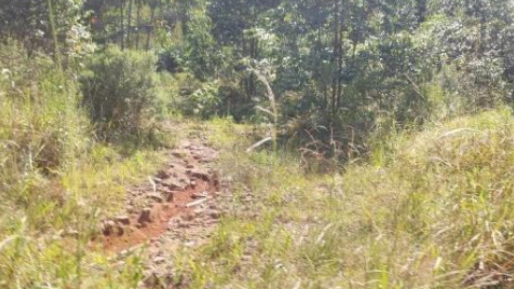 Terreno na Zona Rural - Vila Maria/RS, localizado em Vila Maria - RS
