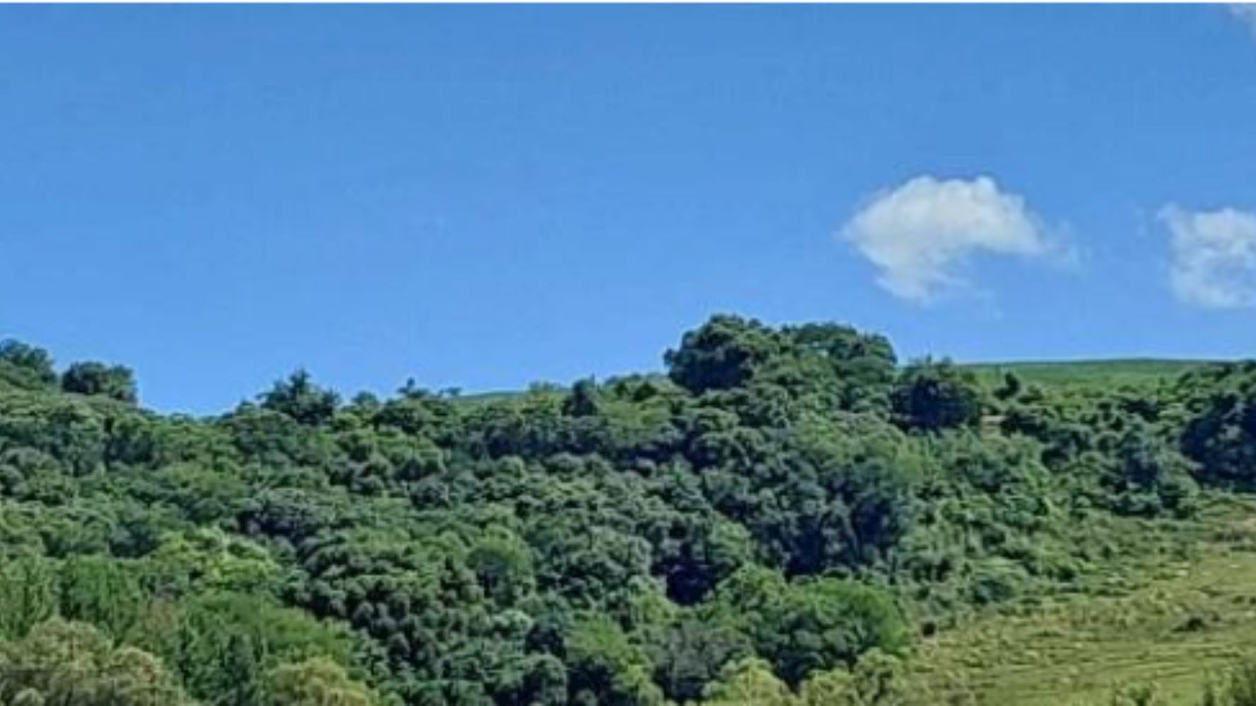 Terreno na Zona Rural - Vila Maria/RS, localizado em Vila Maria - RS
