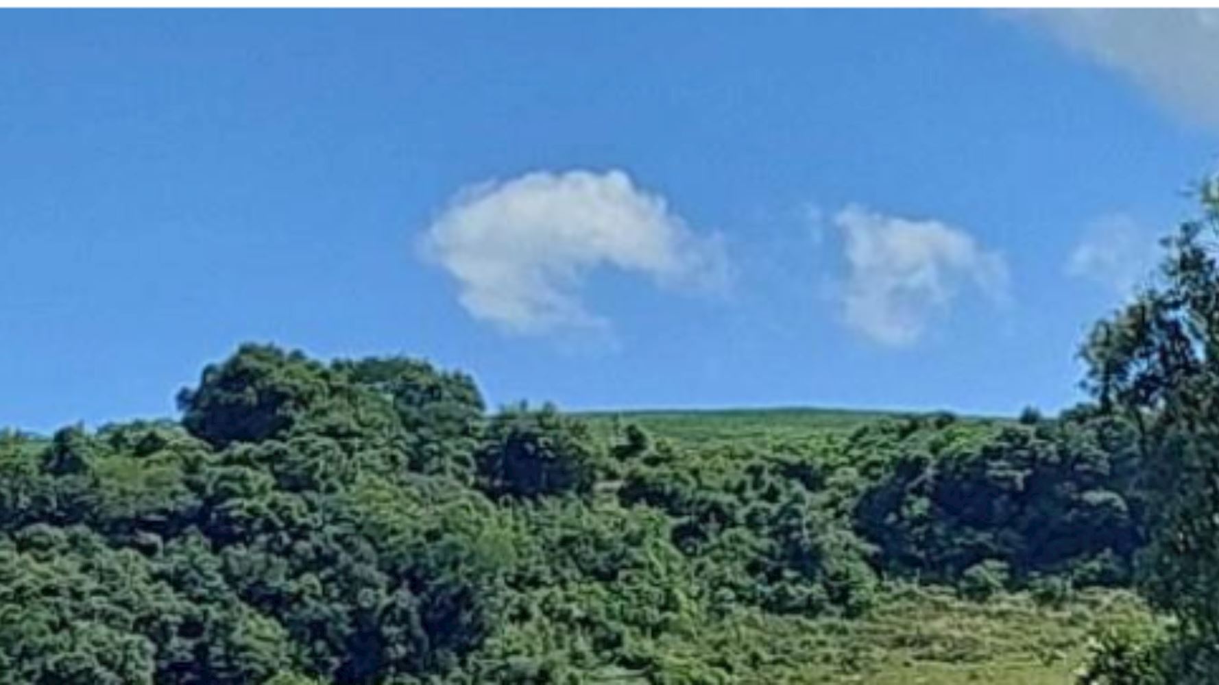 Terreno na Zona Rural - Vila Maria/RS, localizado em Vila Maria - RS