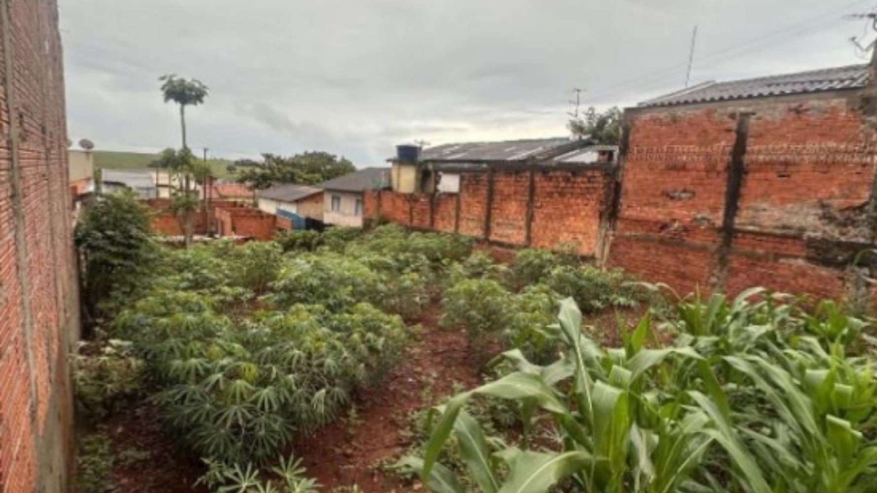 Terreno no Bairro Residencial Terra Bonita - Londrina/PR, localizado em Londrina - PR, bairro Residencial Terra Bonita
