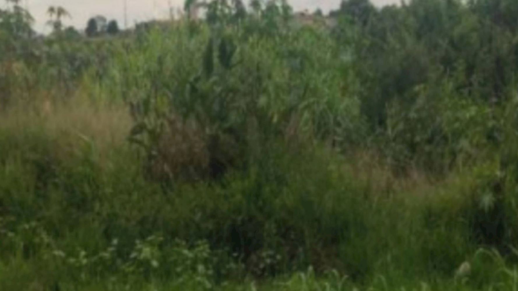 Terreno no Jardim Fogaça em Itapetininga/SP, localizado em Itapetininga - SP, bairro Jardim Fogaça