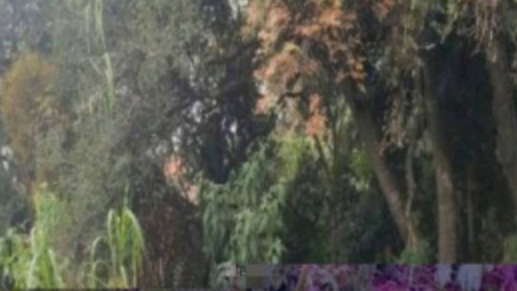 Terreno no Jardim Fogaça em Itapetininga/SP, localizado em Itapetininga - SP, bairro Jardim Fogaça