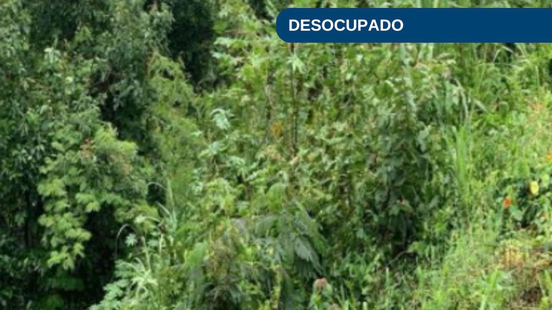 Imagem do imóvel Terreno no Bairro Flor da Serra em Joaçaba/SC