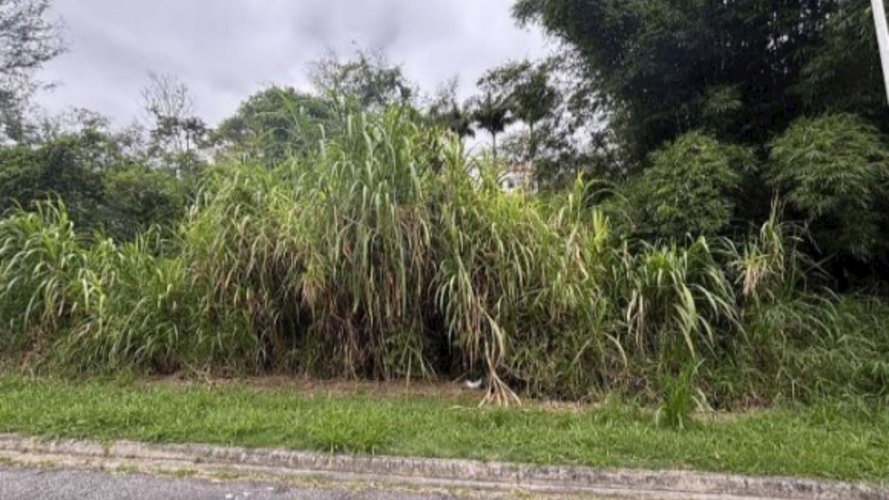 Imagem do imóvel Terreno em "Santa Paula Royal Tênis" - Roçado - São José/SC