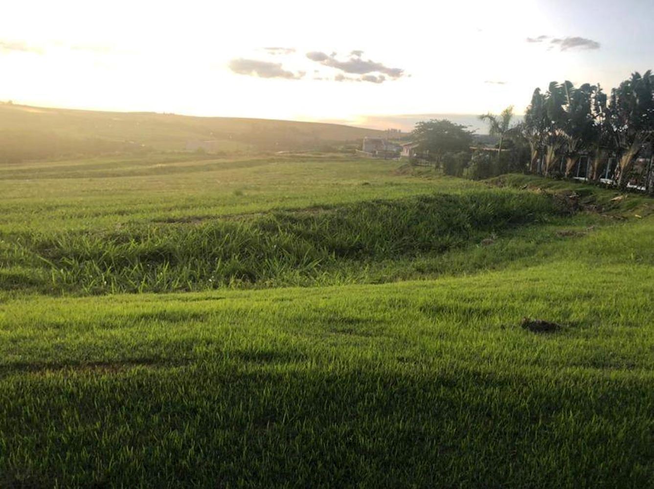 Lote, Padrão, 0 vaga(s) de garagem, localizado em Sertanópolis - PR