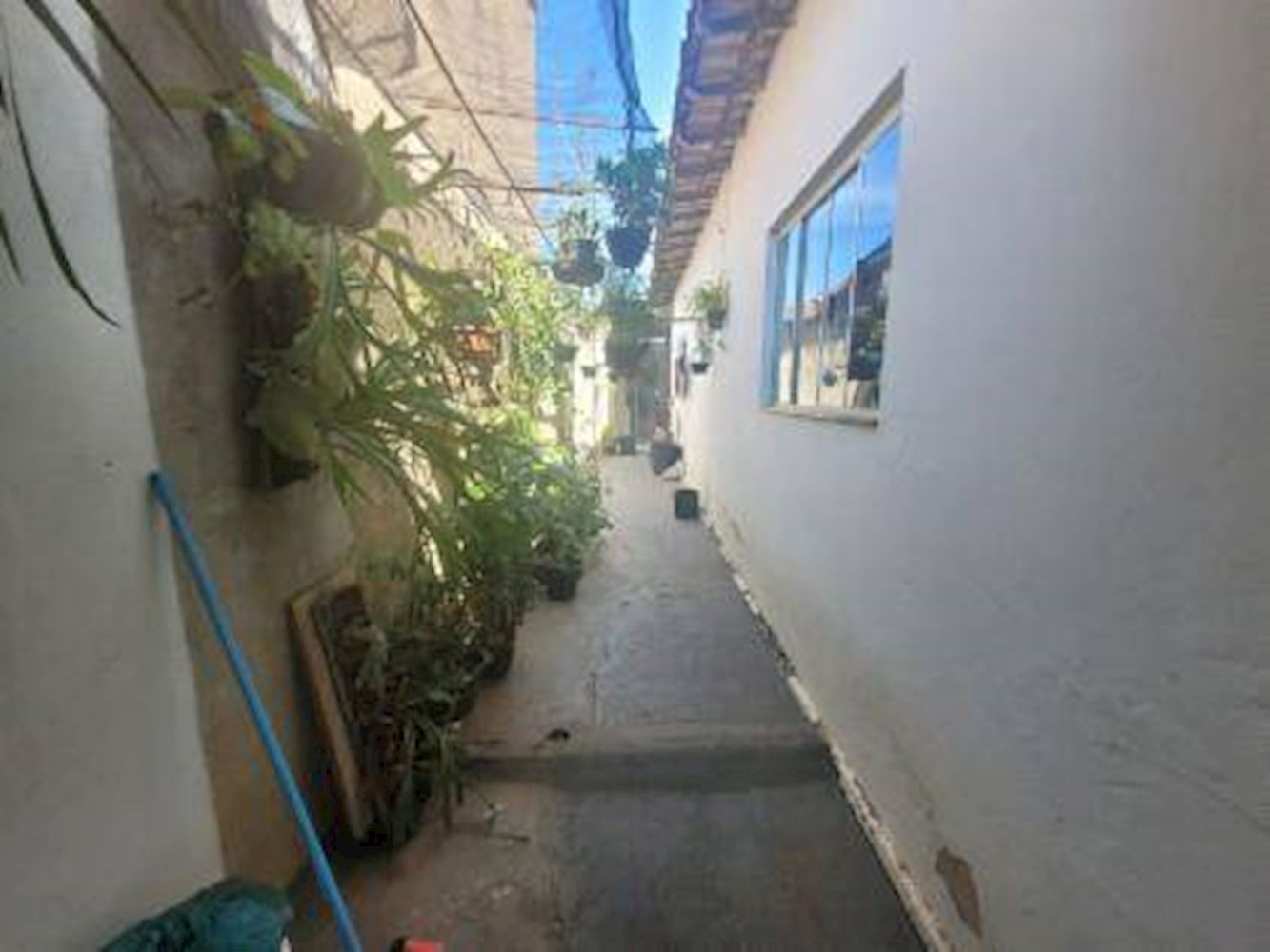 Casa, Padrão, 0 vaga(s) de garagem, localizado em Penápolis - SP, bairro Jardim Esplanada