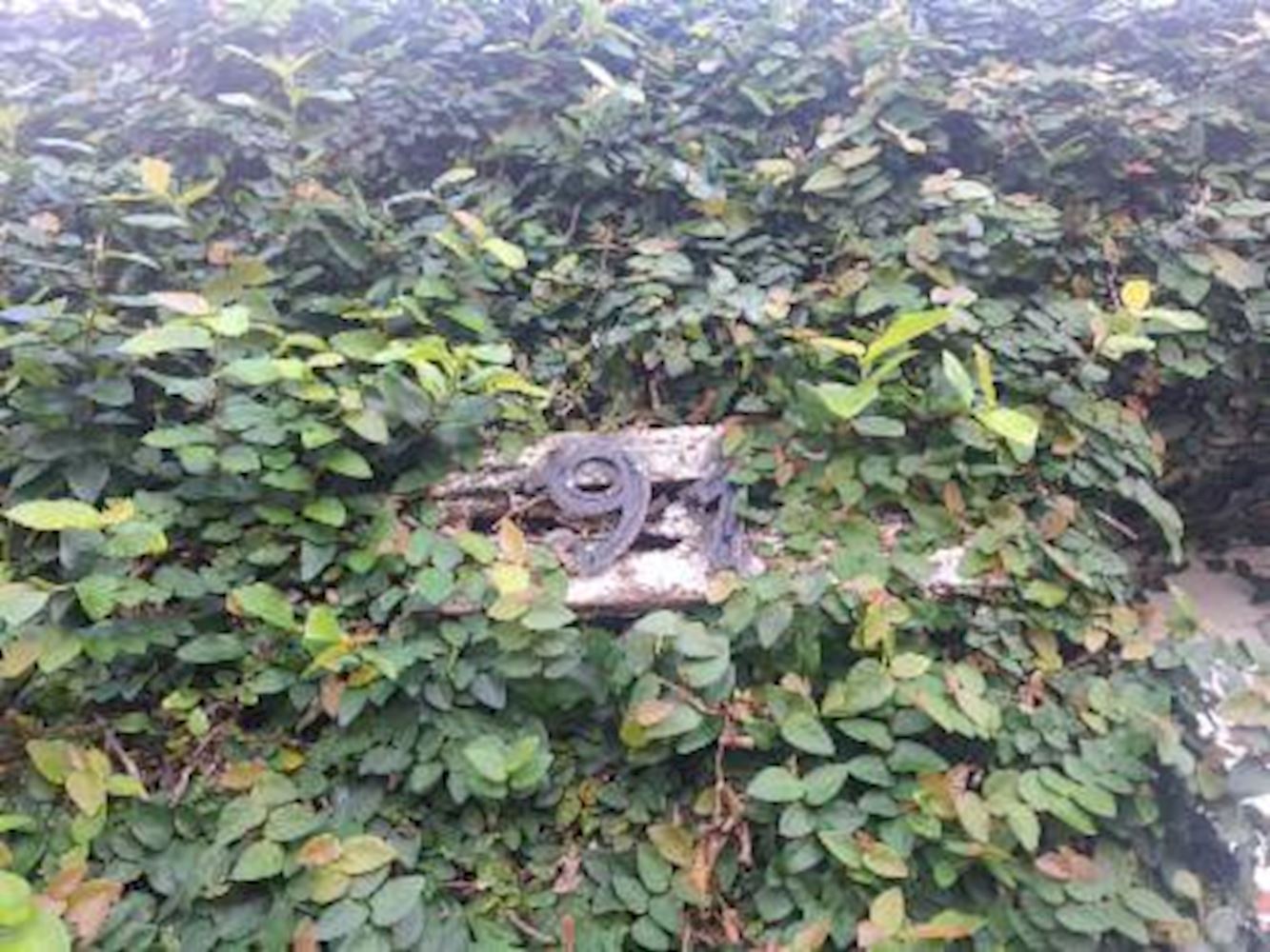 Casa, Padrão, 1 vaga(s) de garagem, localizado em Guarujá - SP, bairro Enseada