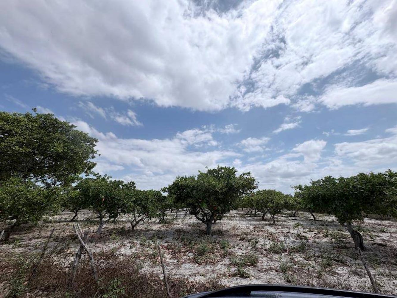 Imagem do imóvel Terreno - Tiririca - Pacajus/CE