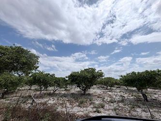 Terreno em leilão em Pacajus