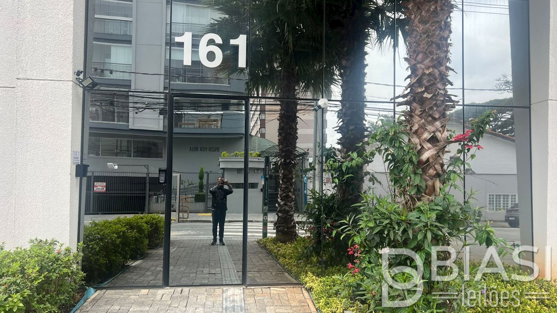 Imagem 8