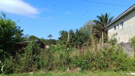 Terreno na Vila Nossa Senhora dos Navegantes - Cananéia/SP — foto principal