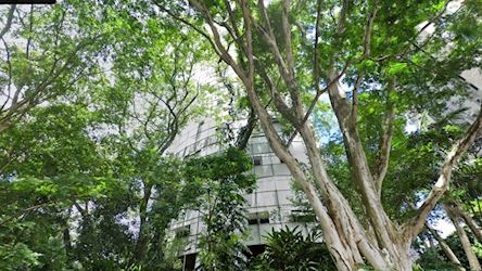 Apartamento no "Condomínio Edifício Itapoama" - Vila Suzana - São Paulo/SP — foto principal