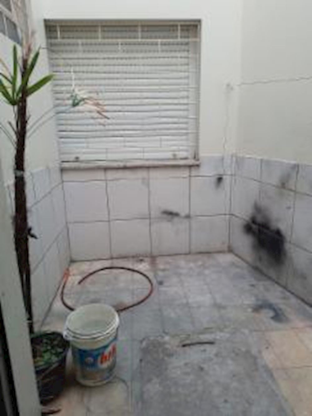 Imagem 16