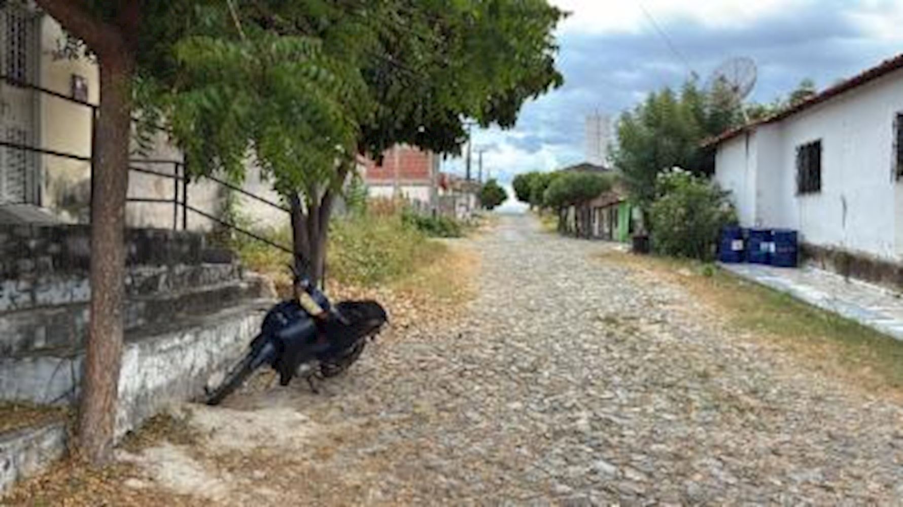 Imagem 6