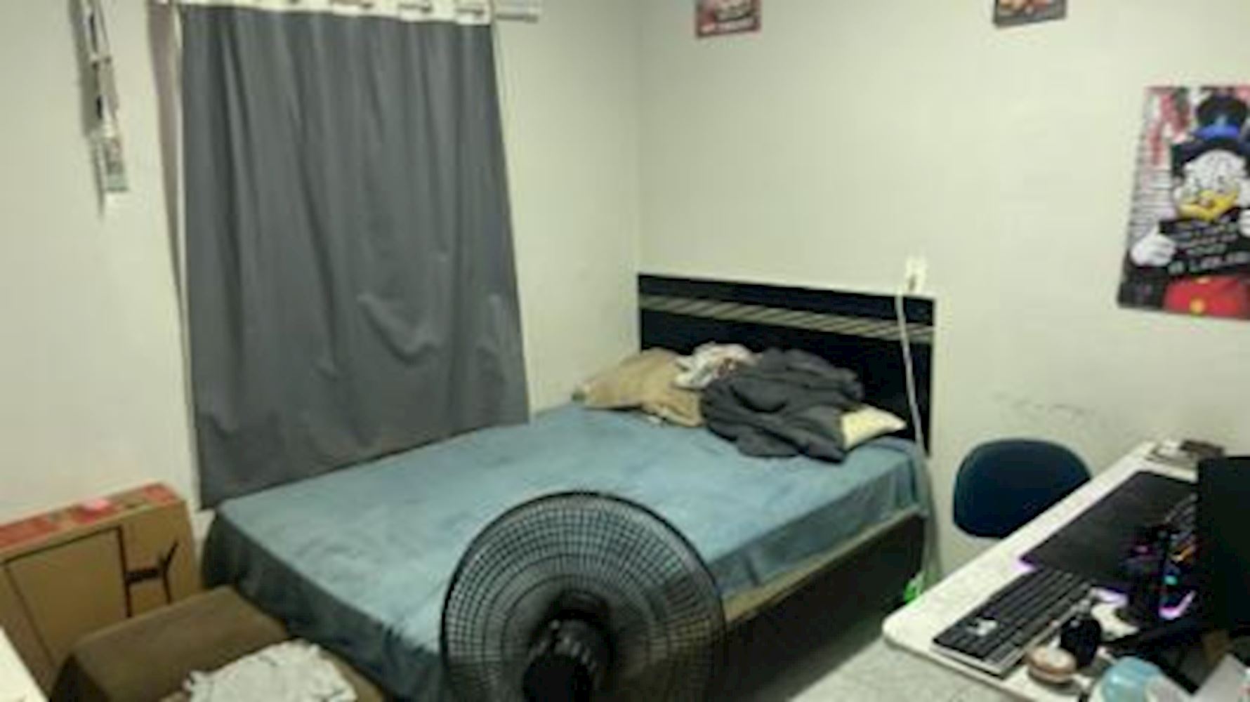 Casa com 2 quartos no Embrapa (foto 6 de 12)